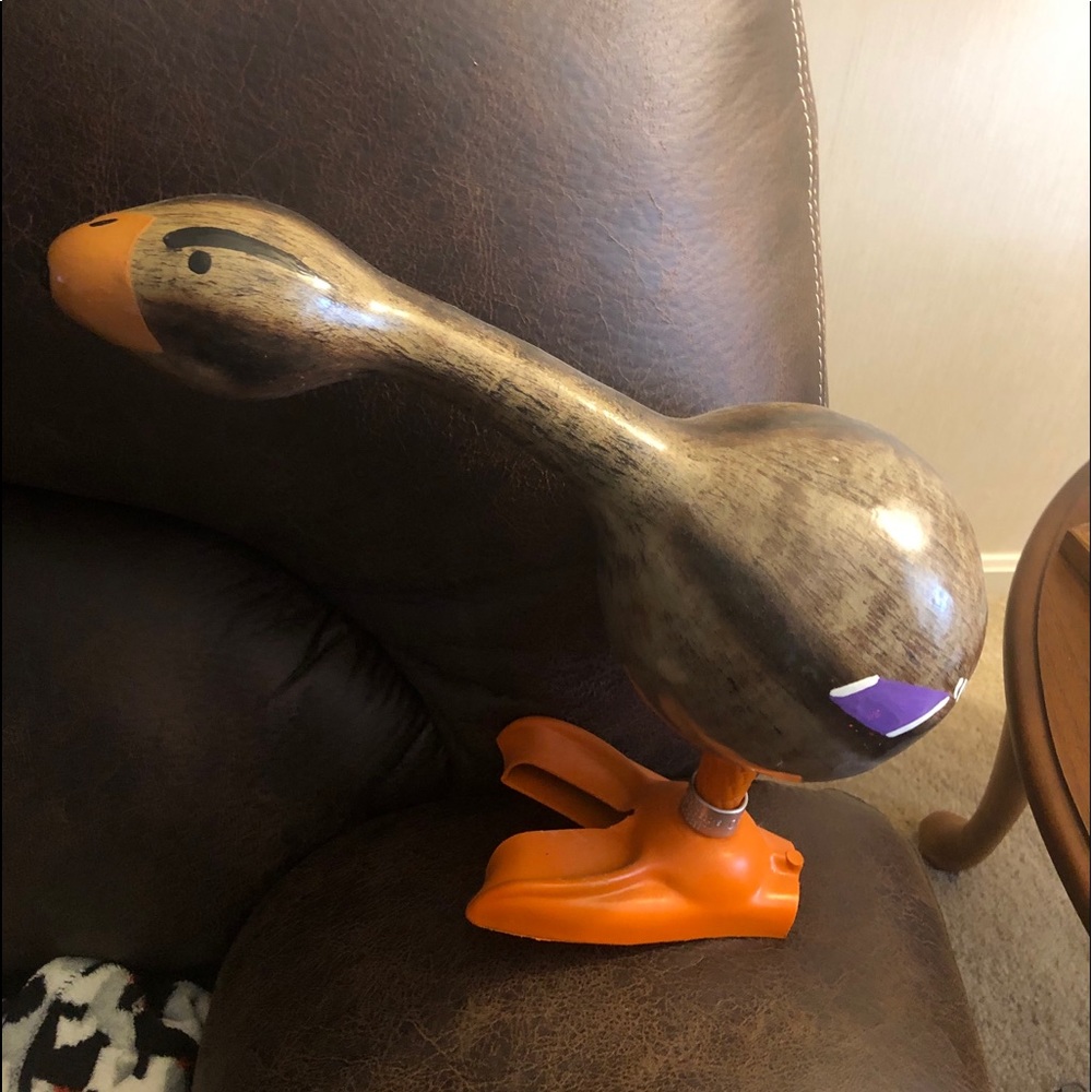 Female duck